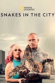 Snakes In The City