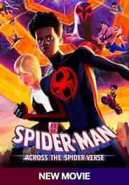 Spider-Man: Across The Spider-Verse (Hindi)