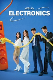 Gaus Electronics in Korean