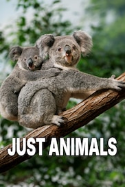 Just Animals