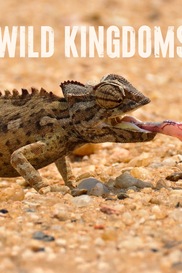 Wild Kingdoms