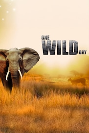 One Wild Day