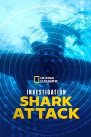 Investigation Shark Attack