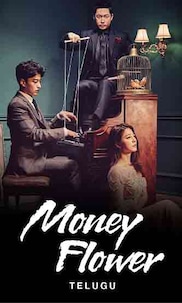 Money Flower in Telugu