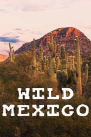 Wild Mexico
