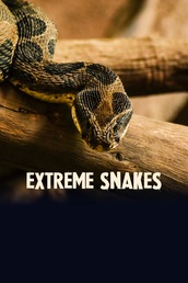 Extreme Snakes