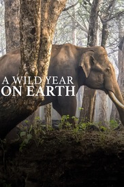 A Wild Year On Earth