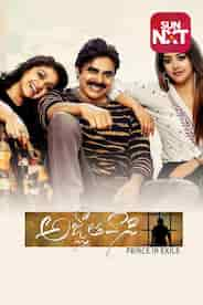 Agnyaathavaasi