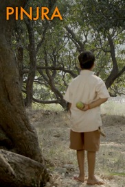 Pinjra