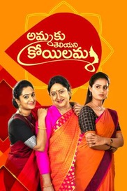 Ammaku Teliyani Koilamma