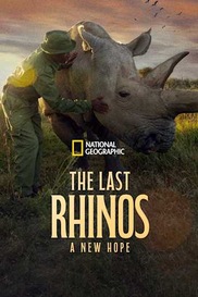 The Last Rhinos: A New Hope