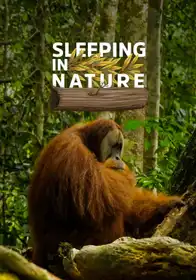 Sleeping in Nature