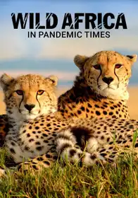 Wild Africa in Pandemic Times
