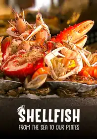 Shellfish: From The Sea To Our Plates