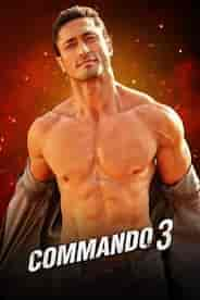 Commando 3