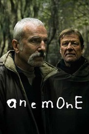 Anemone