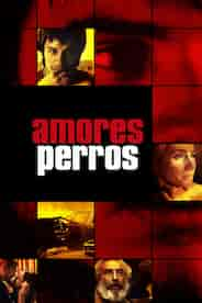 Amores Perros