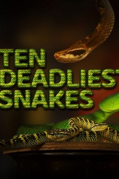 Ten Deadliest Snakes