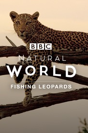 Natural World: Fishing Leopards