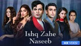 Ishq Zahe Naseeb