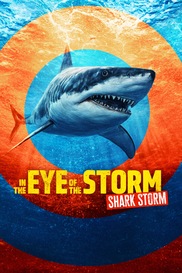 In the Eye of the Storm: Shark Storm