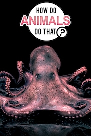 How Do Animals Do That