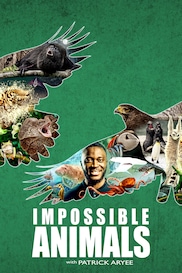 Impossible Animals