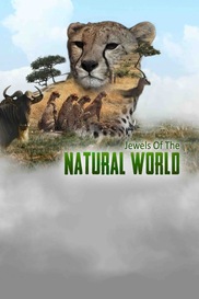 Jewels Of The Natural World