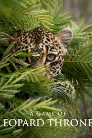 A Game of Leopard Thrones