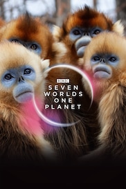 Seven Worlds, One Planet