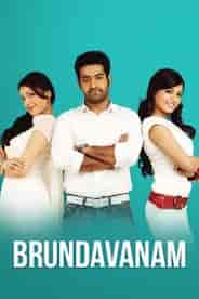 Brindavanam