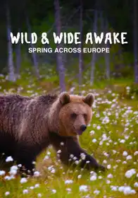 Wild & Wide Awake - Spring across Europe