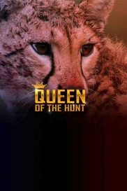 Queen Of The Hunt