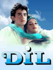 Dil