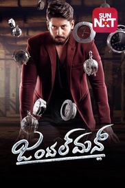 Gentleman ( Kannada )