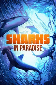 Sharks in Paradise