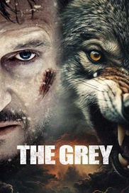 The Grey
