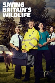 Saving Britain's Wildlife