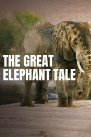 The Great Elephant Tale