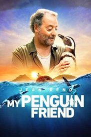 My Penguin Friend