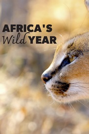 Africa's Wild Year