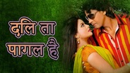 Dil Ta Pagal Hola