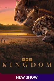 Watch Kingdom on OTTplay with one OTT subscription