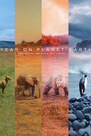A Year On Planet Earth