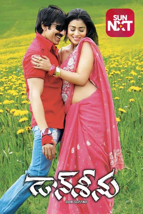 Don Seenu (Telugu)