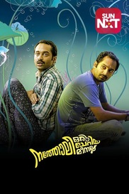 Natholi Oru Cheriya Meenalla
