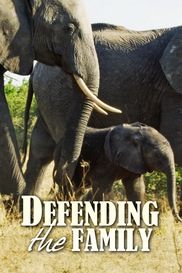 Defending the Family