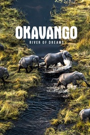 Okavango: River of Dreams