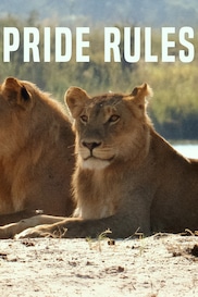 Pride Rules