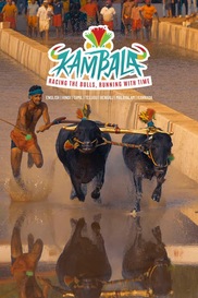 Kambala: Racing the Bulls